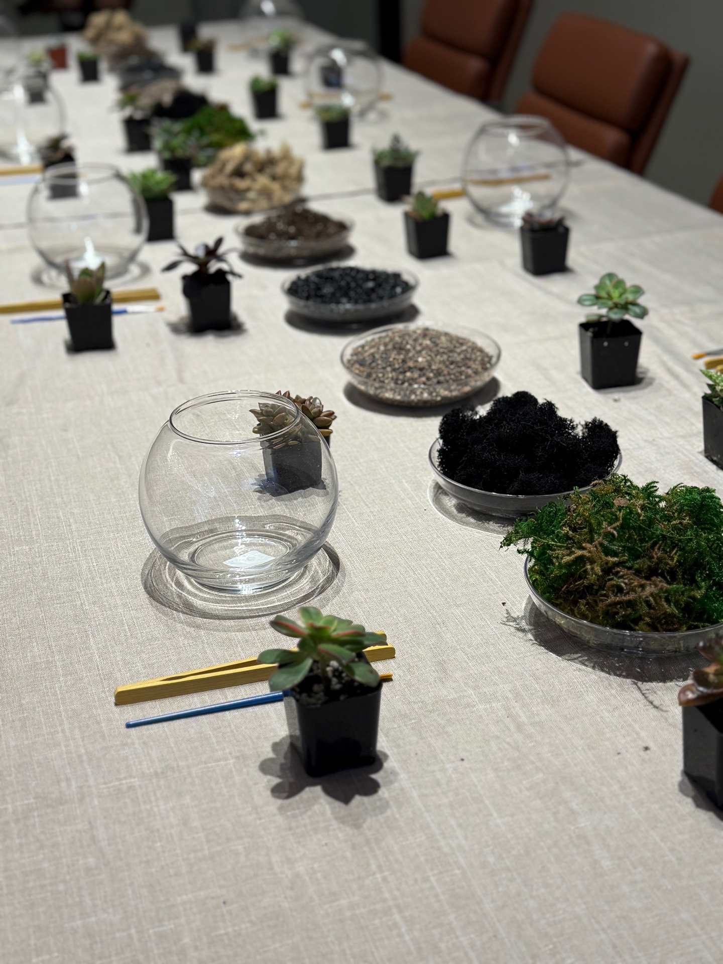 DIY terrarium party with succulents and glass bowls at a resident event at Town Chandler apartments in Chandler, AZ.